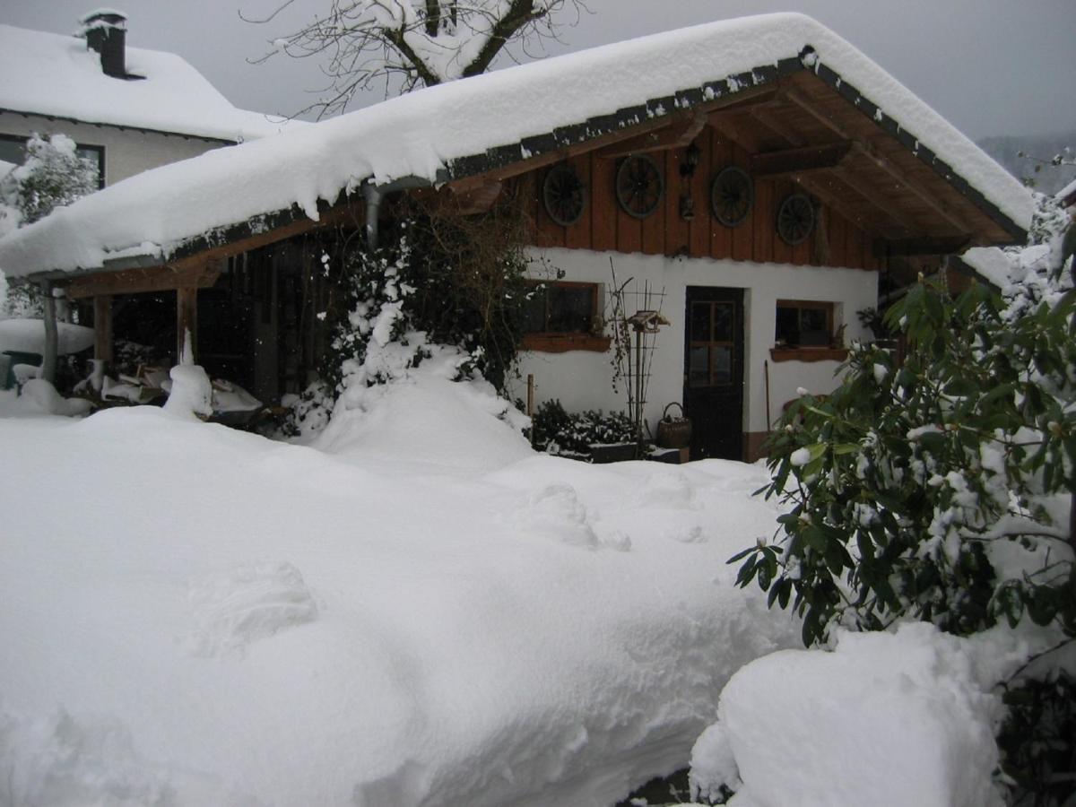 贝格诺伊施塔特Urlaub Im Naturgarten公寓 外观 照片