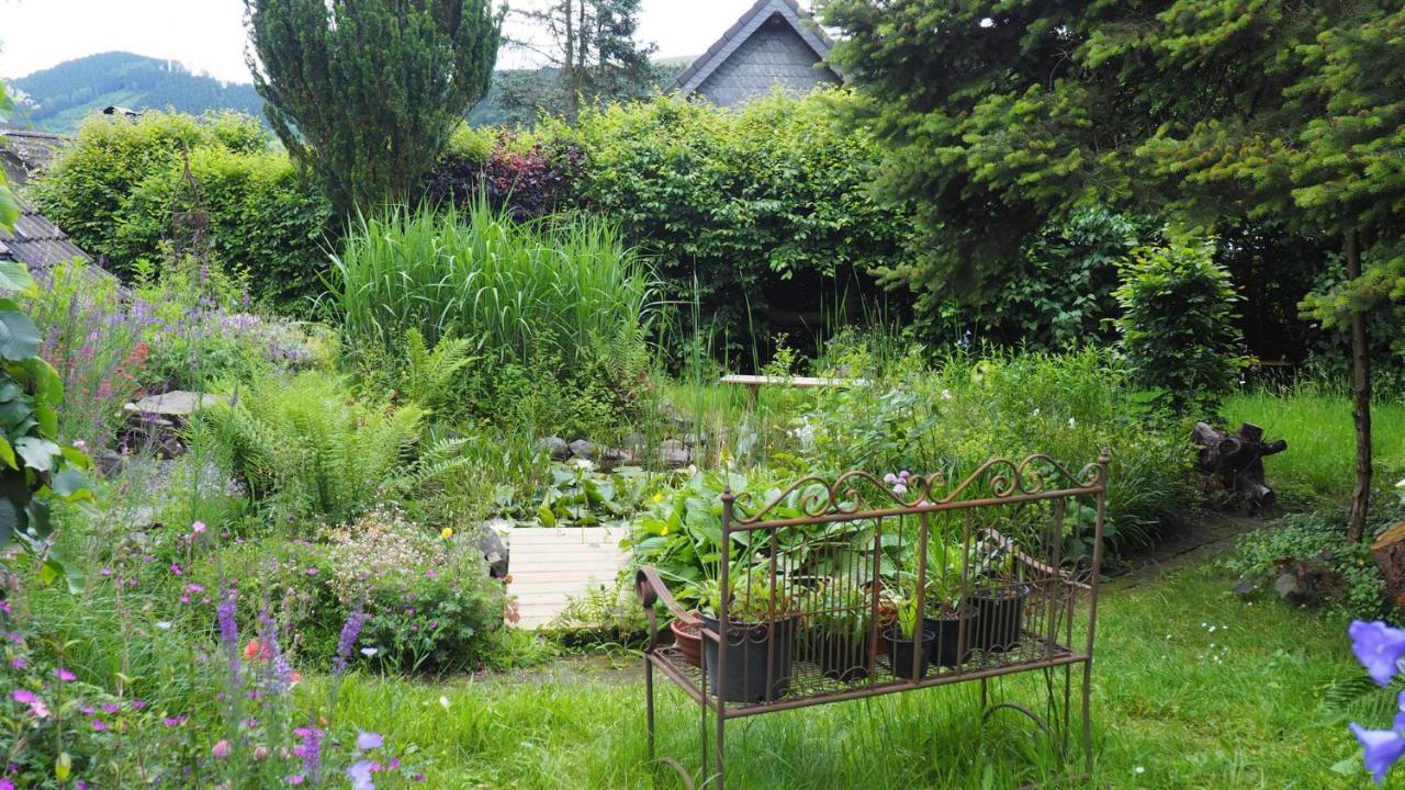 Urlaub Im Naturgarten 贝格诺伊施塔特 外观 照片