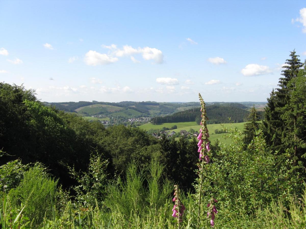 贝格诺伊施塔特Urlaub Im Naturgarten公寓 外观 照片