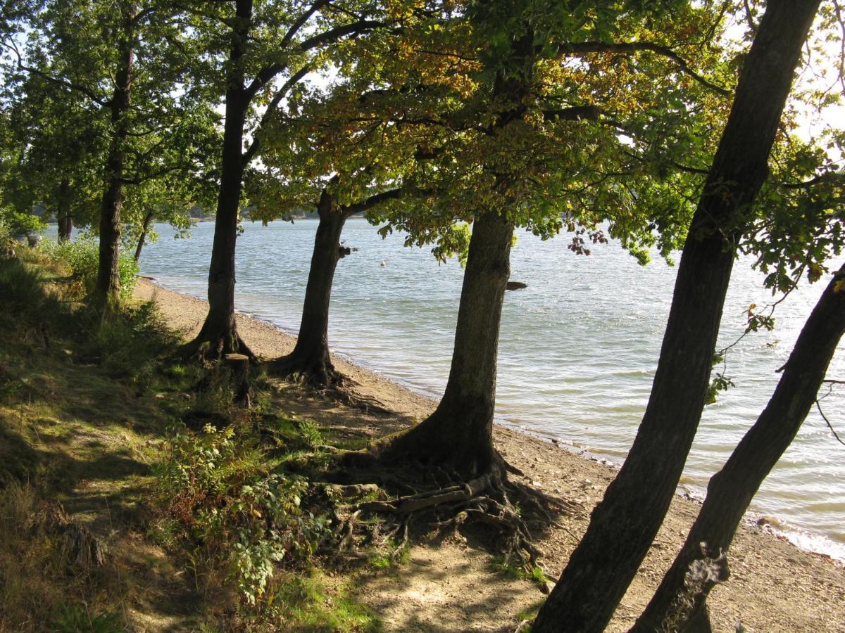 Urlaub Im Naturgarten 贝格诺伊施塔特 外观 照片