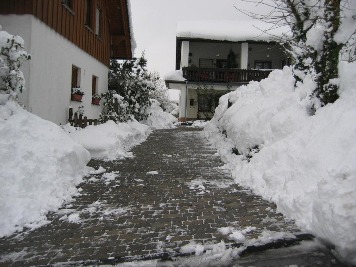 Urlaub Im Naturgarten 贝格诺伊施塔特 外观 照片