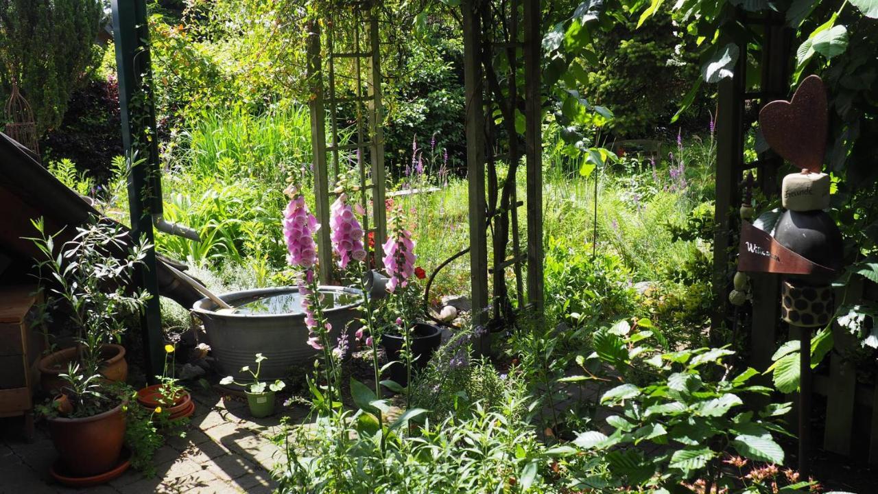 Urlaub Im Naturgarten 贝格诺伊施塔特 外观 照片
